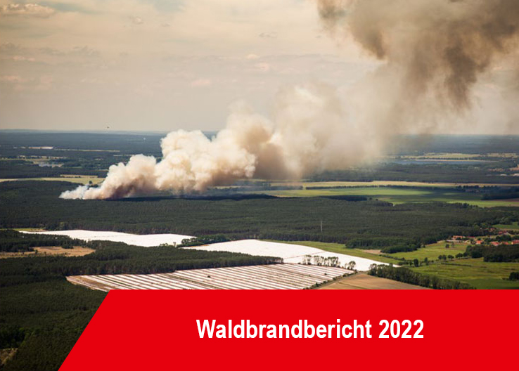 Coveransicht des Waldbrandberichtes 2022