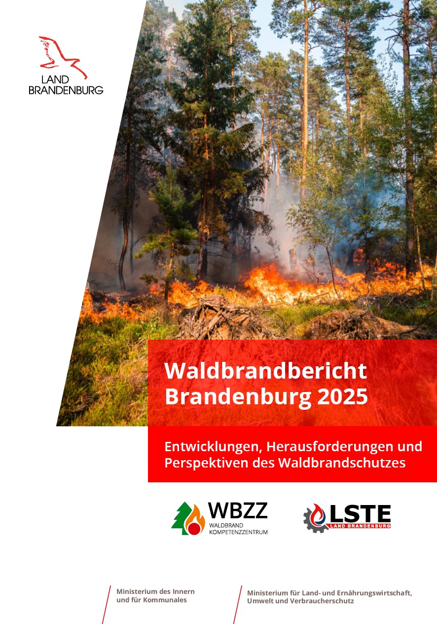 Bild vergrößern (Bild: Coveransicht des Waldbrandberichtes 2025)