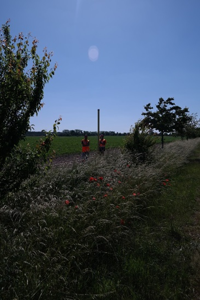 Nivellementlatte zur Höhenbestimmung